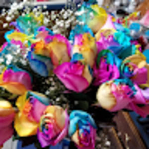 Meet your Posher, Jenna